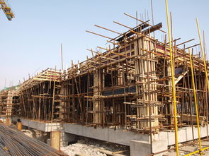 新校建設施工現場系列報道之一 基礎施工篇